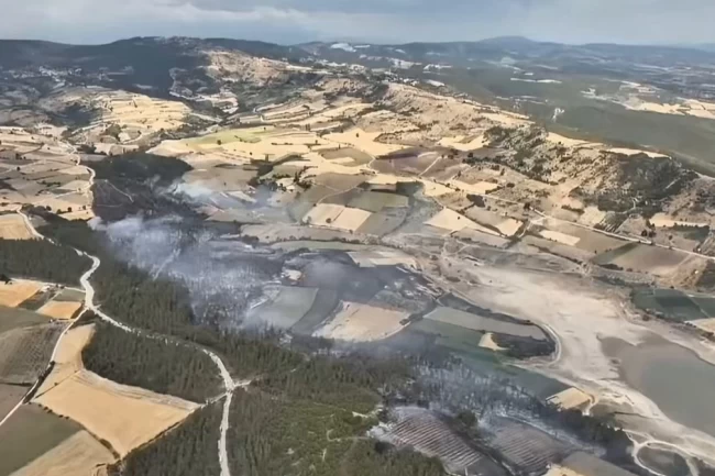 Bursa Yenişehir'deki orman yangını kontrol altındd