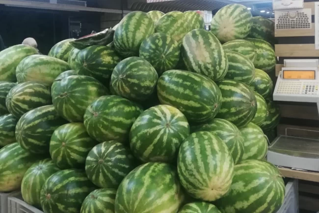 Karpuzda üretici-market farkı yüzde 613,8... Üreticide 1,18, markette 8,42 TL!