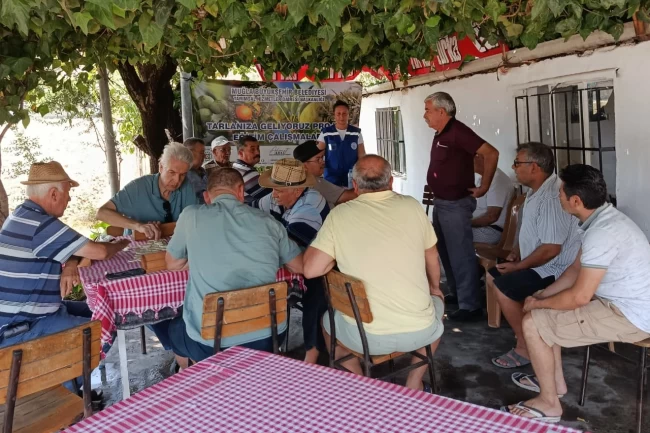 Muğla Büyükşehir'den zeytin üreticisine eğitim desteği