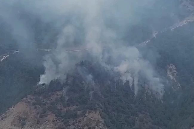 Karabük Yeşilköy'de orman yangını
