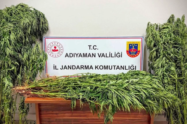 Adıyaman'da uyuşturucu operasyonu: 9 gözaltı