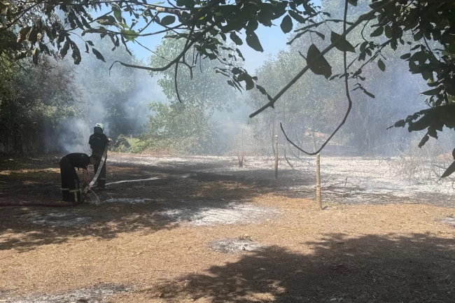 Düzce'de otluk alanda çıkan yangın kontrol altında