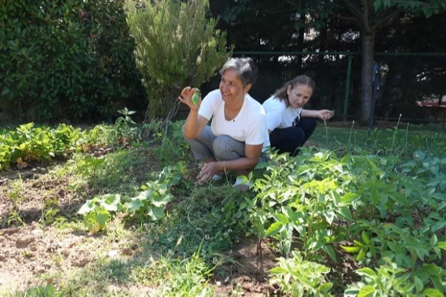 Altın Yıllar Yaşam Merkezi'nde hasat zamanı