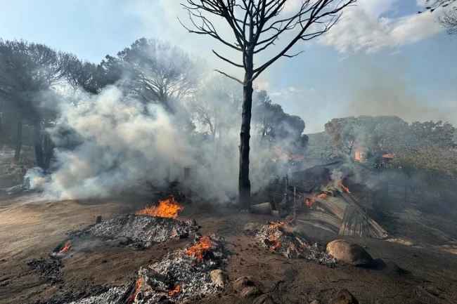 İzmir İtfaiyesi Bergama'da alevlerle mücadele ediyor