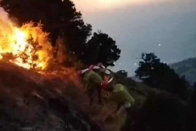 Denizli Pamukkale'deki orman yangını büyük ölçüde kontrol altında