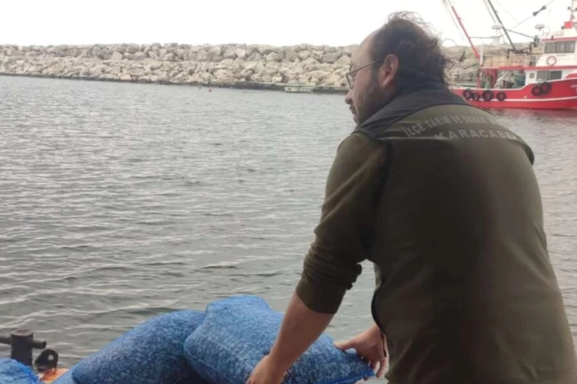 Bursa'da avcılığa açık kum şırlanı ve kara midye alanları belirlendi