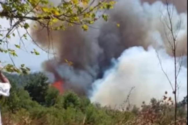 Bursa Gündoğdu Tepesi'nde orman yangını