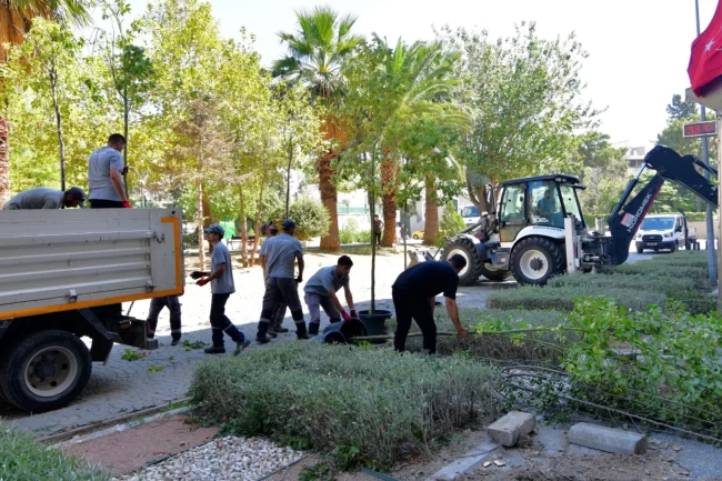İzmir Bornova'da sakura ve tarçınla yeni bir soluk