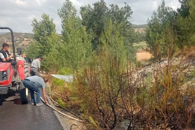 Bursa Yenişehir'de alevler ormana ulaşmadan söndürüldü