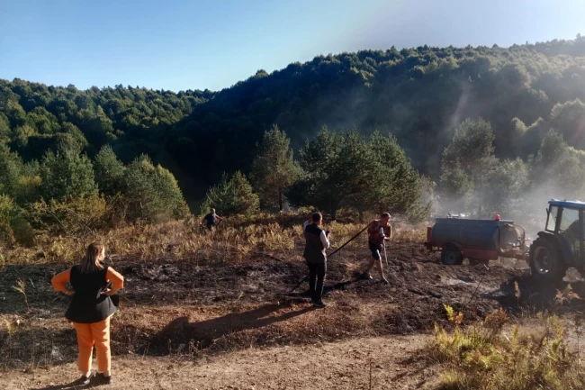 Bilecik Pazaryeri'nde alevler ormana ulaşmadan söndürüldü