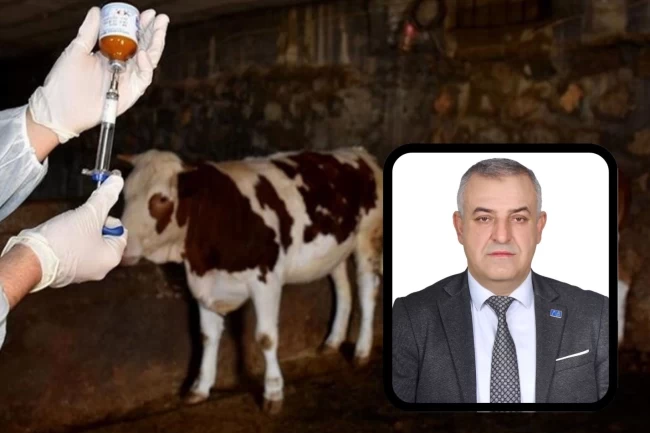 Bursa Mustafakemalpaşa'da şap alarmına A Parti açıklaması