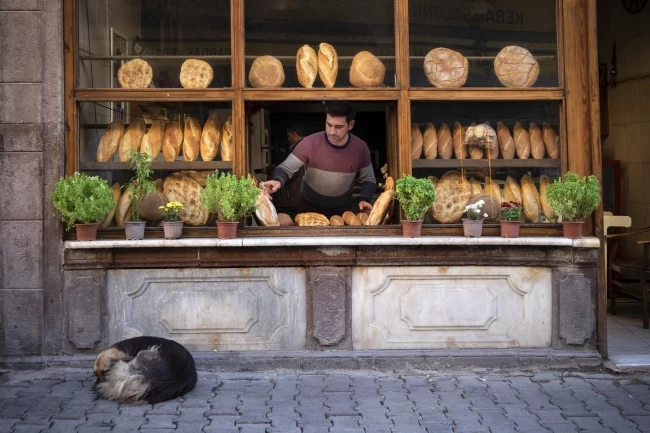 Tarihe Saygı Yerel Koruma Ödülleri'nin 20 yıllık serüveni dijitale aktarıldı