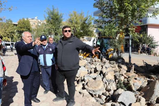 Mardin Yeşilli'de büyük dönüşüm... 50 bin ağaçlık yeşil hamle