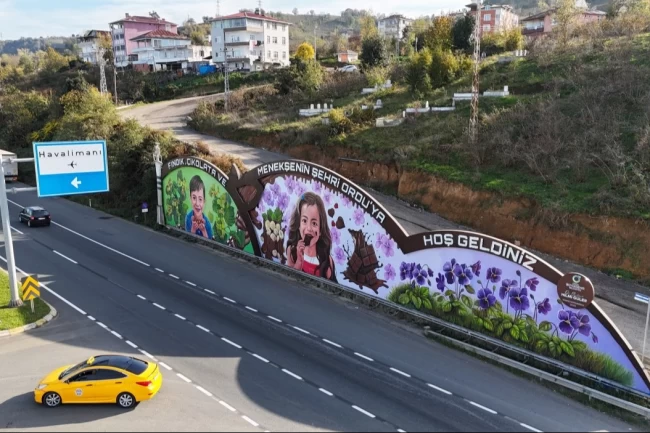 Ordu'nun duvarları sanatla buluşuyor