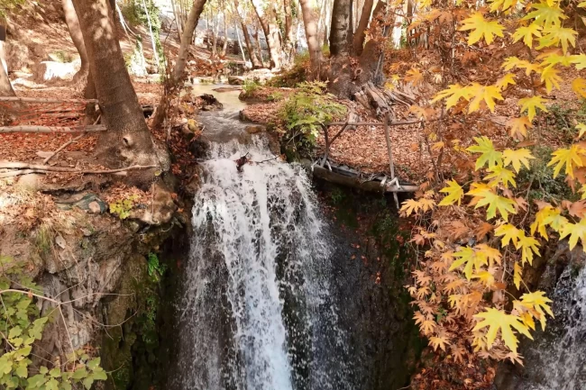 Mardin'in gizli cenneti renk cümbüşüne döndü