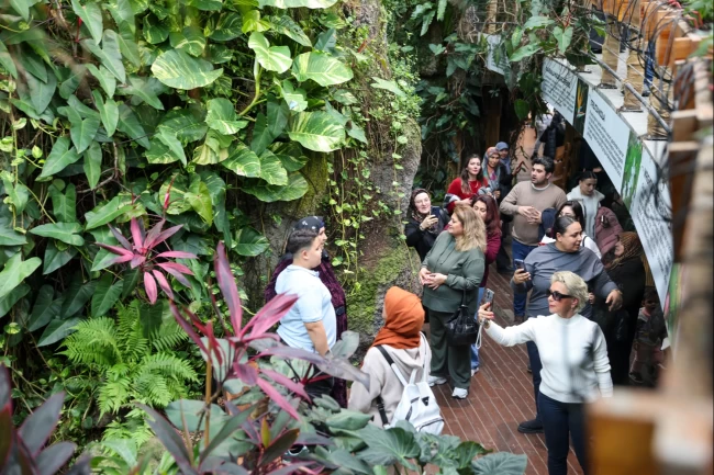 Konya Selçuklu'da Şeb-i Arus yoğunluğu