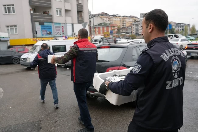 İstanbul Maltepe'de balık denetimi