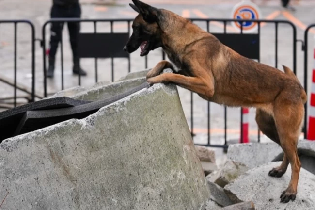 İstanbul Maltepe'nin Zeyna'sı artık ekibin bir parçası