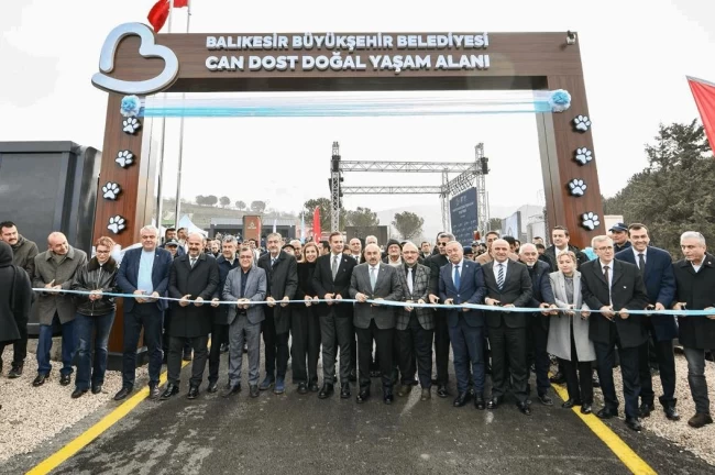 Balıkesir'den sokak hayvanlarına sıcak yuva