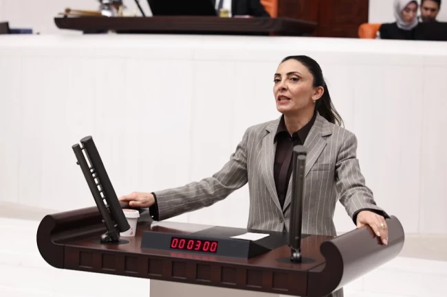 Nurhayat Altaca Kayışoğlu: "Özgür sanat olmadan demokrasi olmaz"