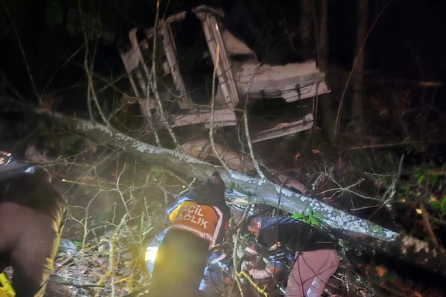 Düzce'de tomruk yüklü tır uçuruma yuvarlandı