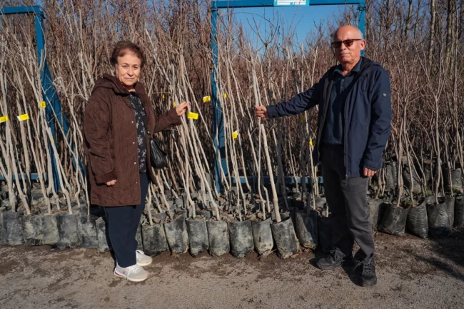 Kocaeli'nin fidan desteği meyvelerini veriyor
