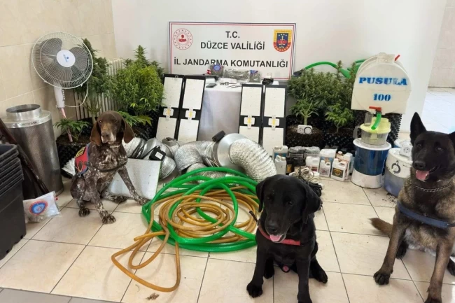 Düzce'de uyuşturucu operasyonu: 1 gözaltı