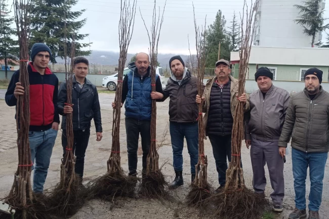 Bilecik Pazaryeri'nde 450 meyve fidanı çiftçilerle buluştu