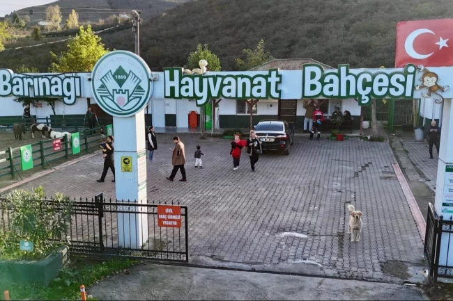 Giresun Hayvan Barınağı 2025'e damga vurdu