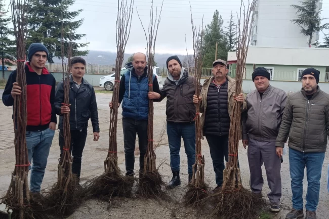 Bilecik Pazaryeri'nde meyveciliğe güçlü destek