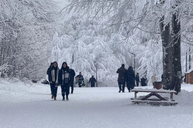 Kocaeli Ormanya, 2025'te de doldu taştı