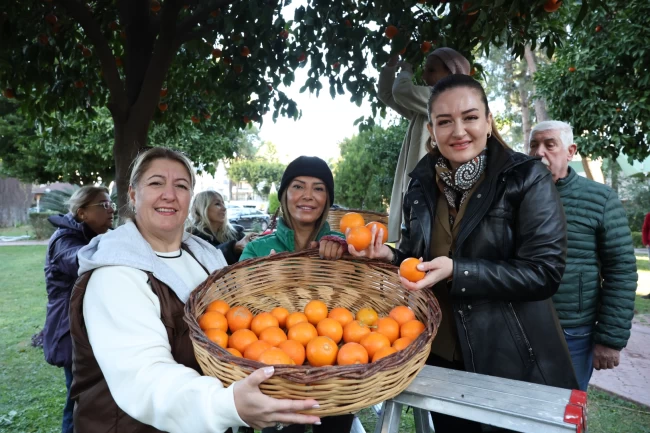 Antalya'nın turunçları kadın emeğiyle sofralara uzanıyor
