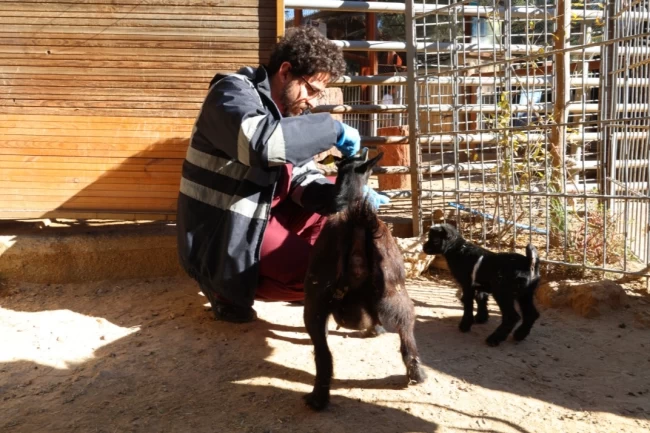 Doğal Yaşam Parkı'nda soğuk alarmı