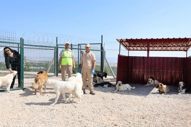 Eskişehir'de doğaya ve can dostlara tam destek