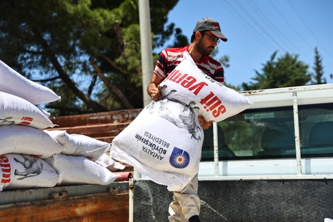 Antalya'da hayvancılığa 2025 yılında büyük katkı