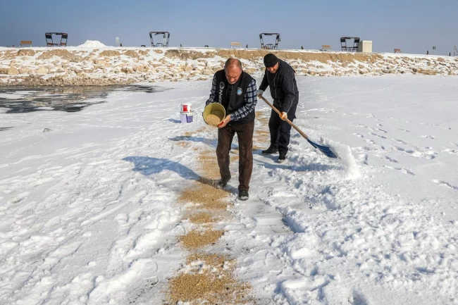 Van'da kuşlar için doğaya yem bırakıldı