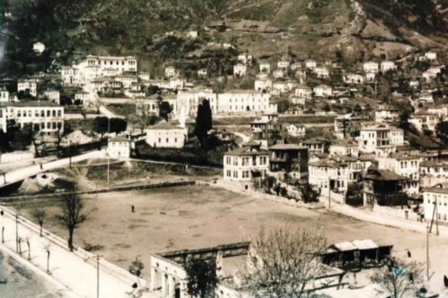 Ordu'da Millet Düzü yeniden hayat buluyor