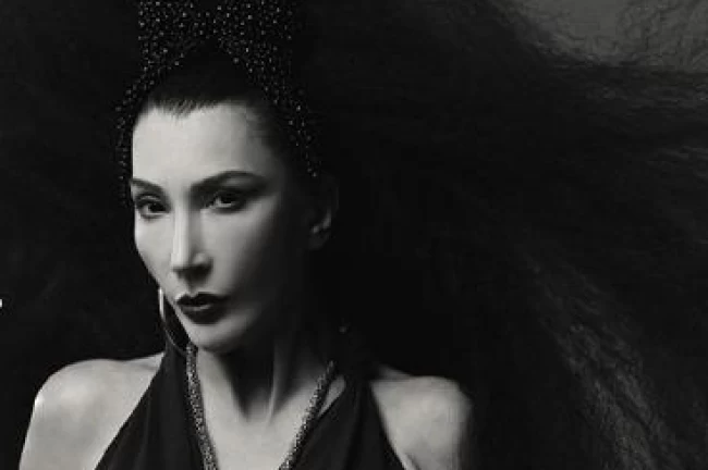 "Hande Bizi Sezen'e Götür! Senfonik" proje yargıya taşındı