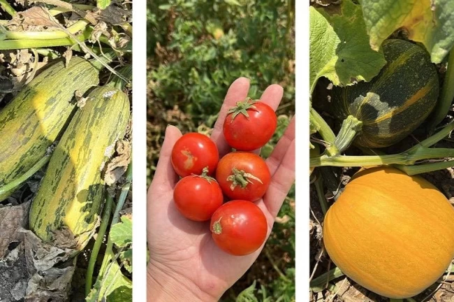 Balıkesir'de ‘ümit var' sayısı 84'e yükseldi