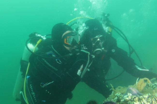 Kocaeli'de İzmit Körfezi artık nefes alıyor