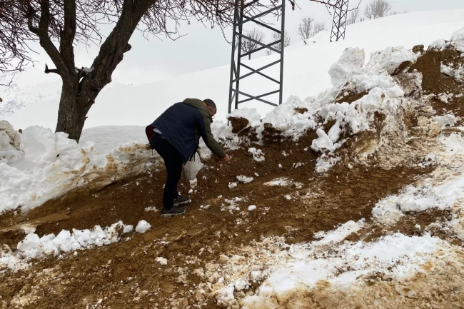 Batman Sason'da yabani hayvanlar için yemleme çalışması