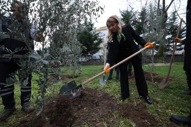 11 il için 11 fidan, İstanbul Bakırköy'de toprakla buluştu