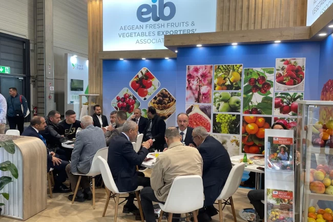 Yaş meyve sebze sektöründen Almanya'ya çıkarma