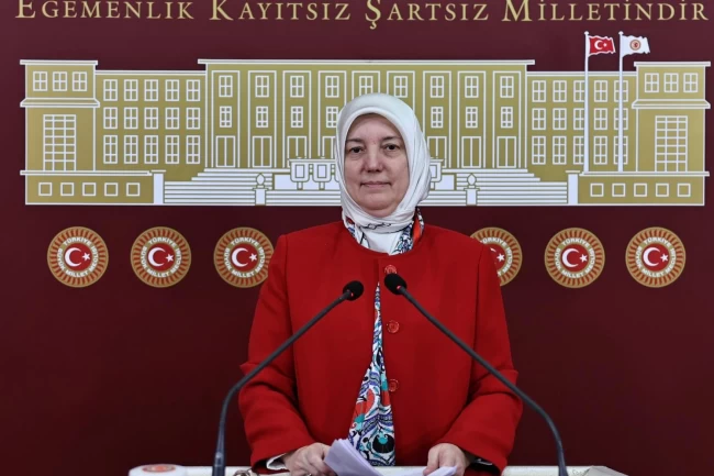 AK Partili Gözgeç'ten 28 Şubat mesajı