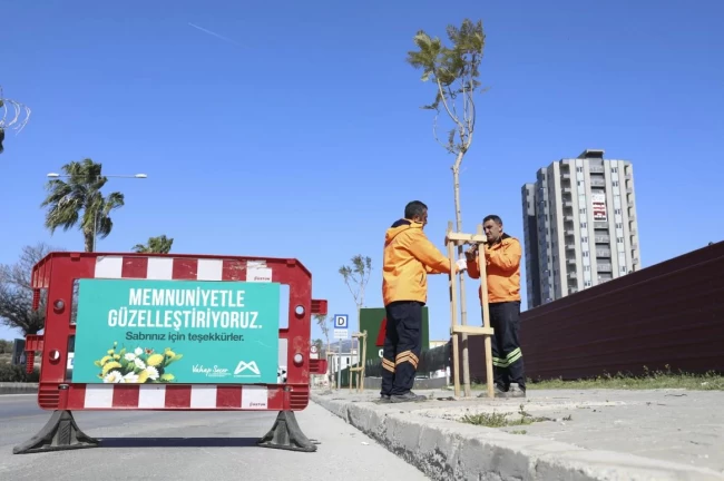 Mersin Büyükşehir'den ‘Ağaçlandırma Kampanyası'