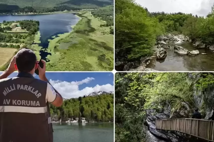 Doğa Koruma ve Milli Parklar Uzmanlığı için tez zorunluluğu