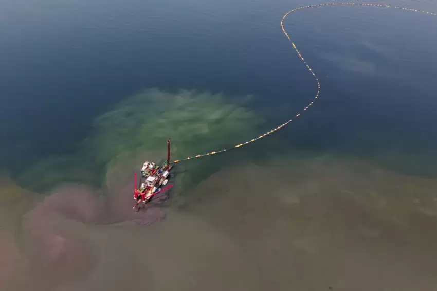 Kocaelinin çevre projesi deniz canlılarını canlandırdı