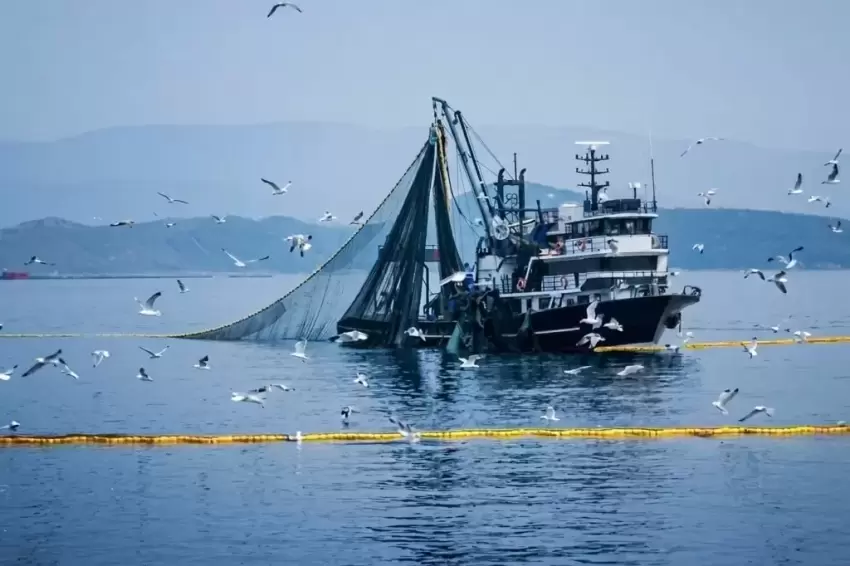Denizlerde av yasağı 15 Nisan'da başlıyor