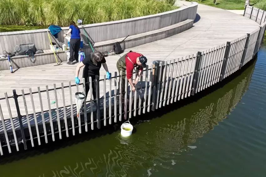 İzmit Millet Bahçesi'nde su göletine bilimsel çalışma