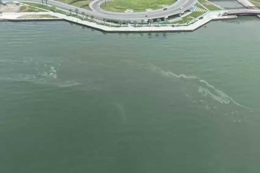 İzmir Körfezinde kirlilikte 10uncu tespit